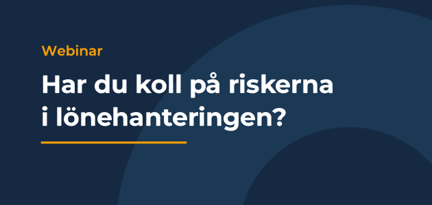 Nyhet _Risker lonehantering